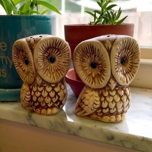 Vintage Boho Owl Salt & Pepper Shakers